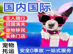 中川航空快运国际宠物托运 【国